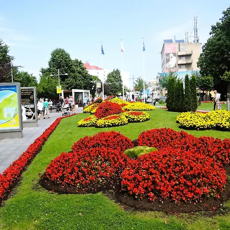 Homes In Mi Dzyzdroje For 4 People Hotel en barco *